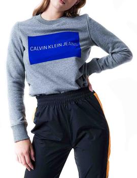 Felpa Calvin Klein Institutional Flock Box azul