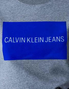 Felpa Calvin Klein Institutional Flock Box azul